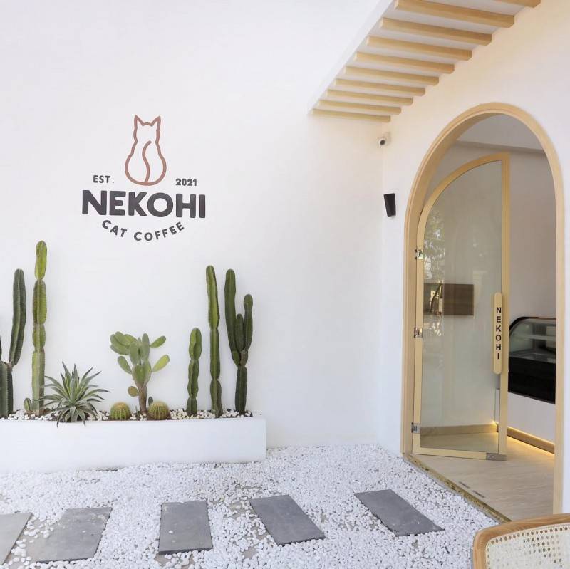 Nekohi Cat Coffee, cửa hàng cà phê dành cho các bạn yêu thú cưng