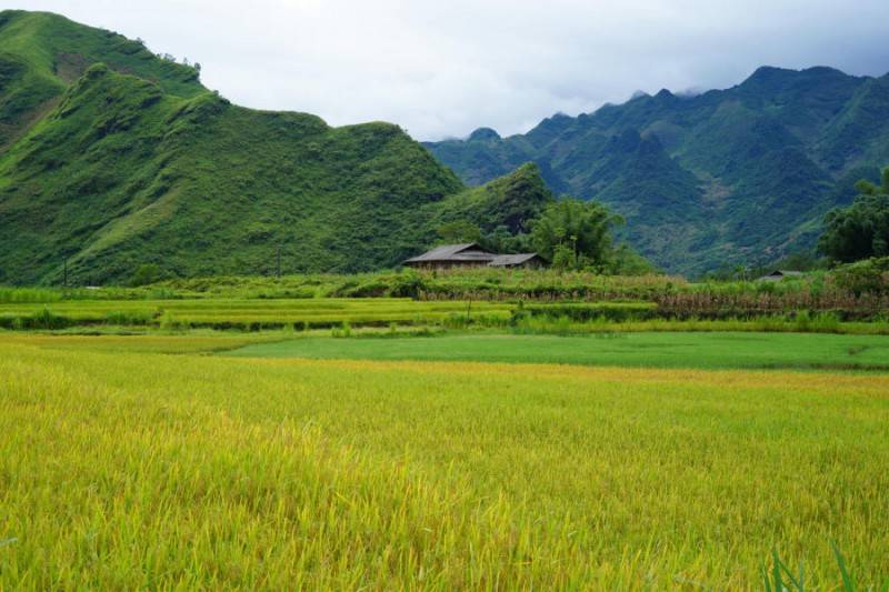 Ngắm nhìn Bản Du Già thanh bình vào mùa đẹp nhất