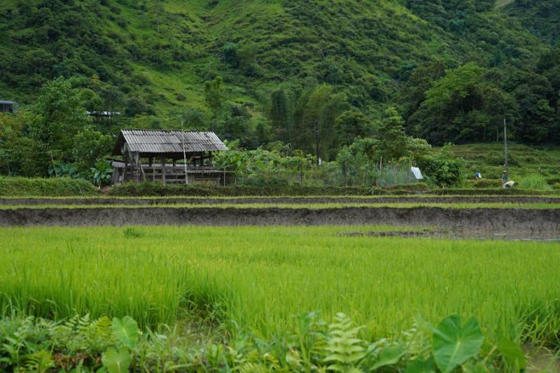 Ngắm nhìn Bản Du Già thanh bình vào mùa đẹp nhất