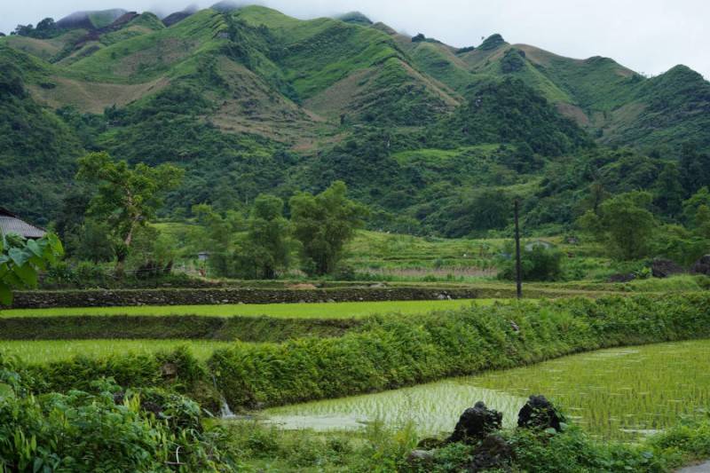 Ngắm nhìn Bản Du Già thanh bình vào mùa đẹp nhất