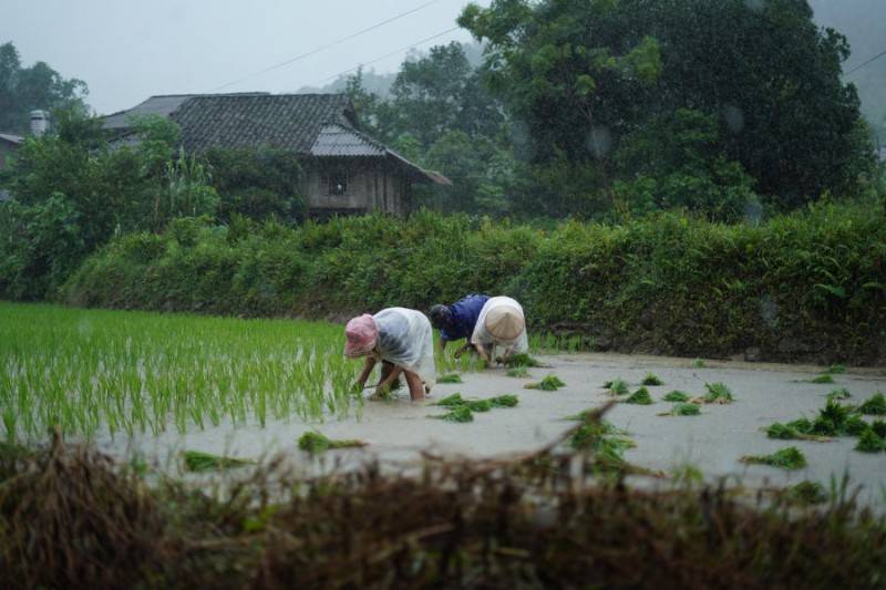 Ngắm nhìn Bản Du Già thanh bình vào mùa đẹp nhất