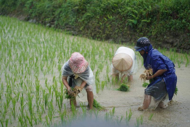 Ngắm nhìn Bản Du Già thanh bình vào mùa đẹp nhất