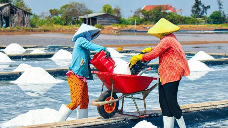 Nghề muối Tân Thuận mang tinh hoa biển khơi đến với đời sống thường nhật