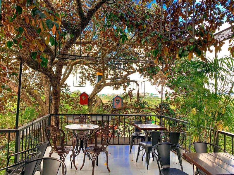 Ngon Avatar Coffee Garden Teahouse, ngôi nhà cà phê xinh đẹp tại Pleiku