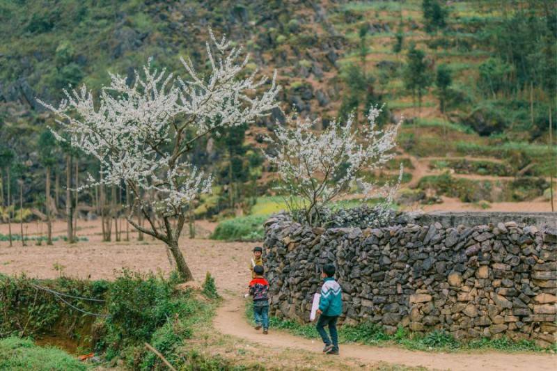 Review Hà Giang, khám phá bức tranh đời thường nơi cao nguyên đá bình yên