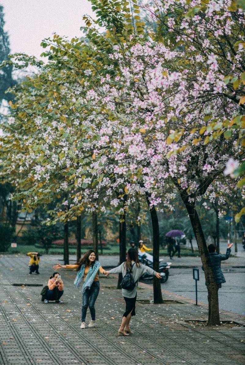 Review Hà Nội, tháng ba nơi đó có mùa hoa ban nở