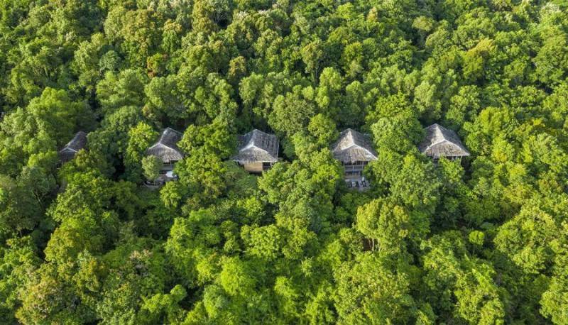 Review khu resort trong rừng ở Phú Quốc sở hữu không gian xanh ấn tượng
