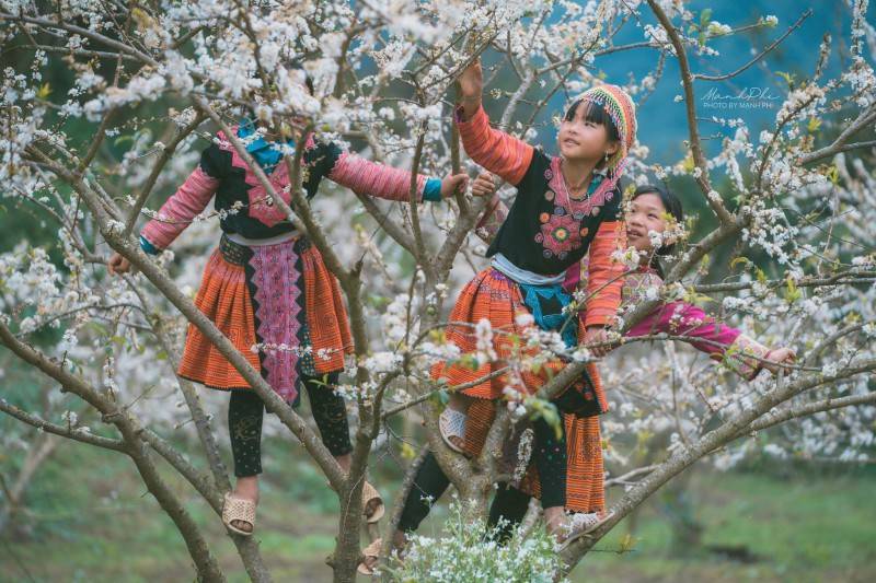 Review mùa hoa Mộc Châu cùng nhiếp ảnh gia Mạnh Phí