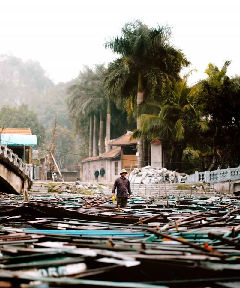 Review Tam Cốc, bức tranh hoang sơ mùa lúa trổ đòng