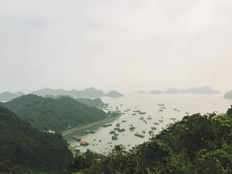 Review vịnh Lan Hạ - Vẻ đẹp hoang sơ hấp dẫn các tín đồ du lịch