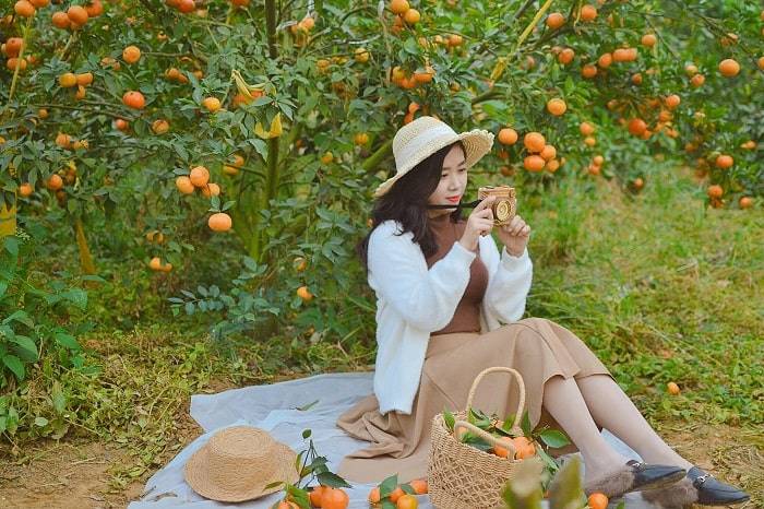 Review vườn cam Mộc Châu - nơi khơi nguồn cảm hứng của những bức ảnh sống ảo nghìn like