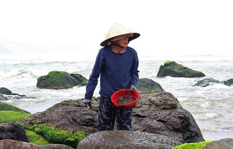 Rong biển sấy khô - Siêu thực phẩm vừa đẹp da lại tốt cho sức khỏe