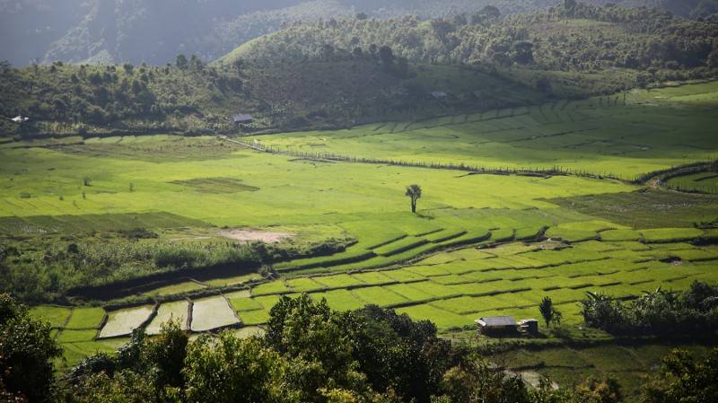 Ruộng bậc thang Măng Ri và vẻ đẹp của mùa vàng rực rỡ