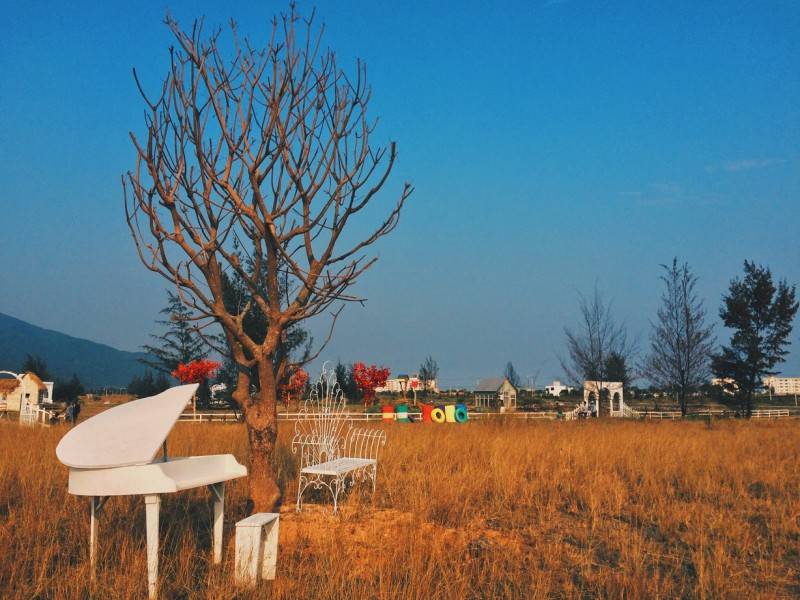 Phim trường Thuận Phước Field - Nơi tái hiện khung cảnh làng quê châu Âu giữa lòng Đà Nẵng