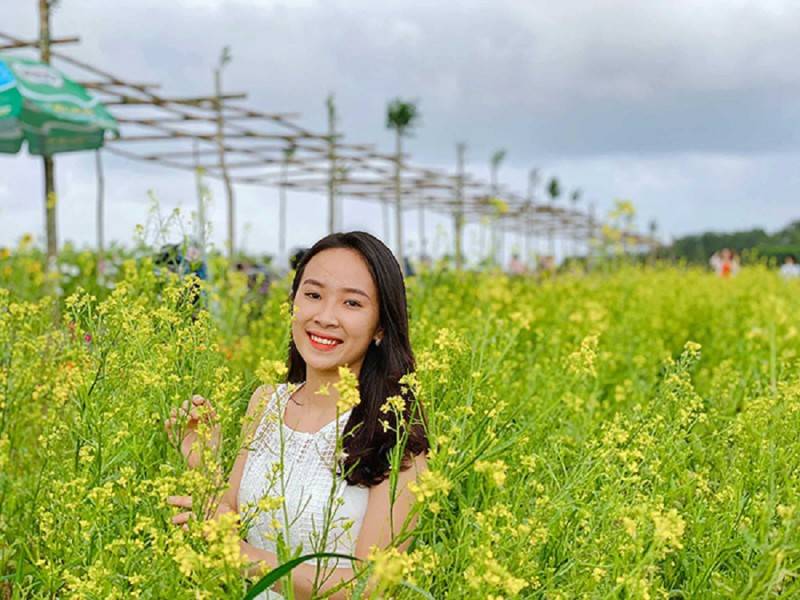 Sửng sốt trước vẻ đẹp của vườn cải vàng rực rỡ tại thành phố Huế