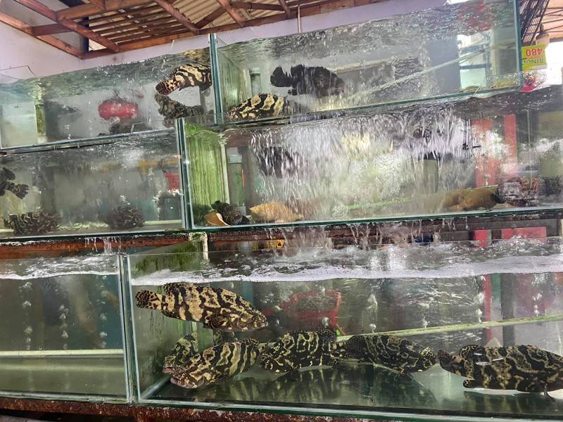 Tận hưởng ẩm thực miền biển với 10 quán hải sản tươi ngon Đà Nẵng