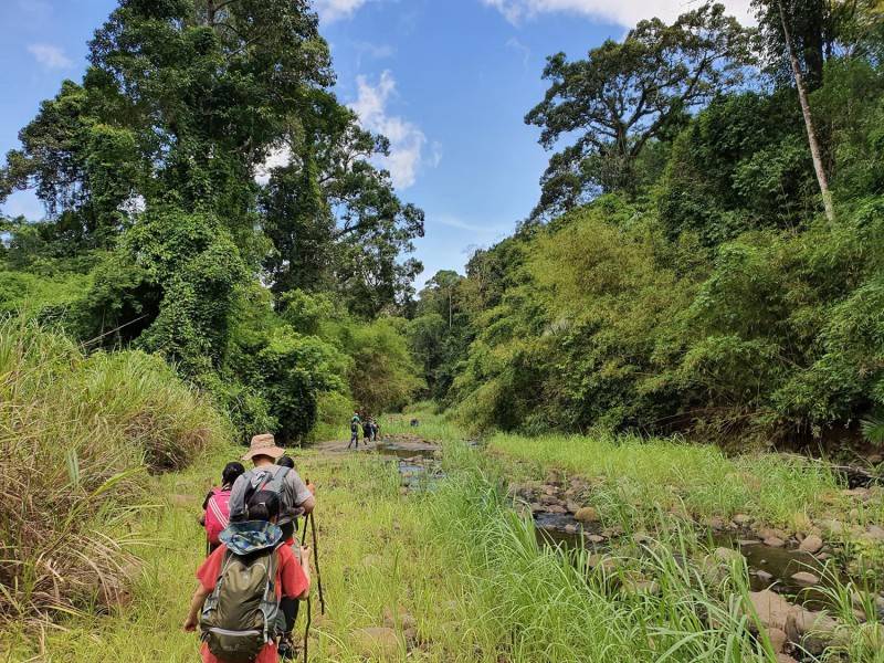 Tất tần tật kinh nghiệm trekking Bù Gia Mập cho người mới