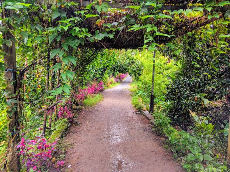 Tham quan Vườn hoa sinh thái Út Hiên nổi tiếng khắp Tây Nam Bộ