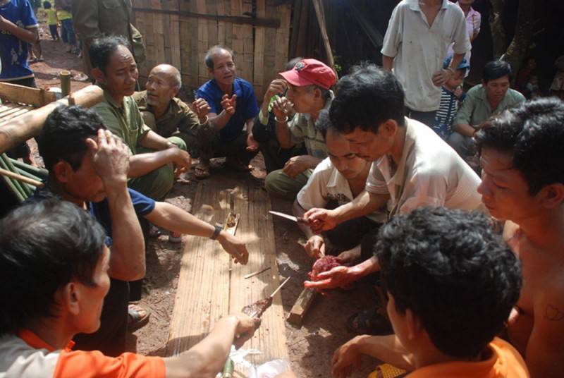 Tìm hiểu Lễ hội đâm trâu mừng lúa mới tại Bình Phước