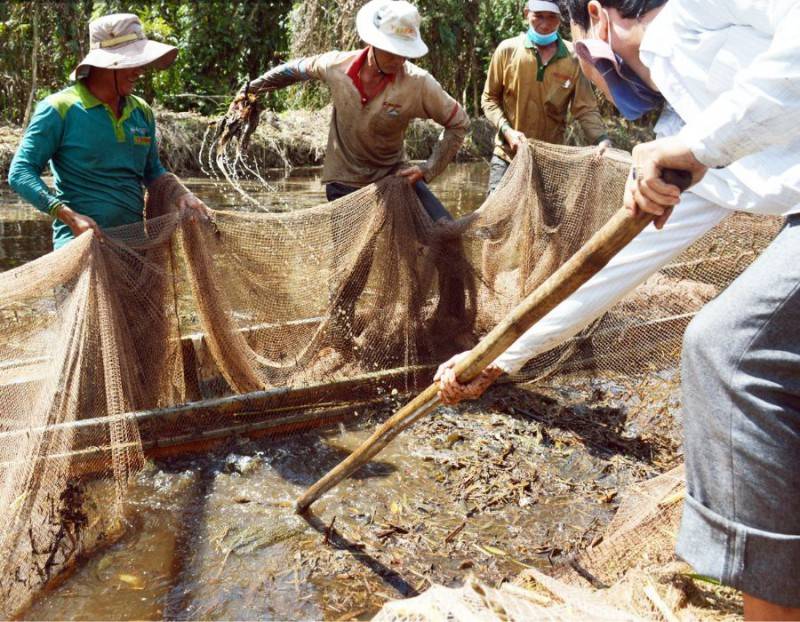 Tìm hiểu Nghề chụp đìa ở Cà Mau qua những hoạt động cực thú vị