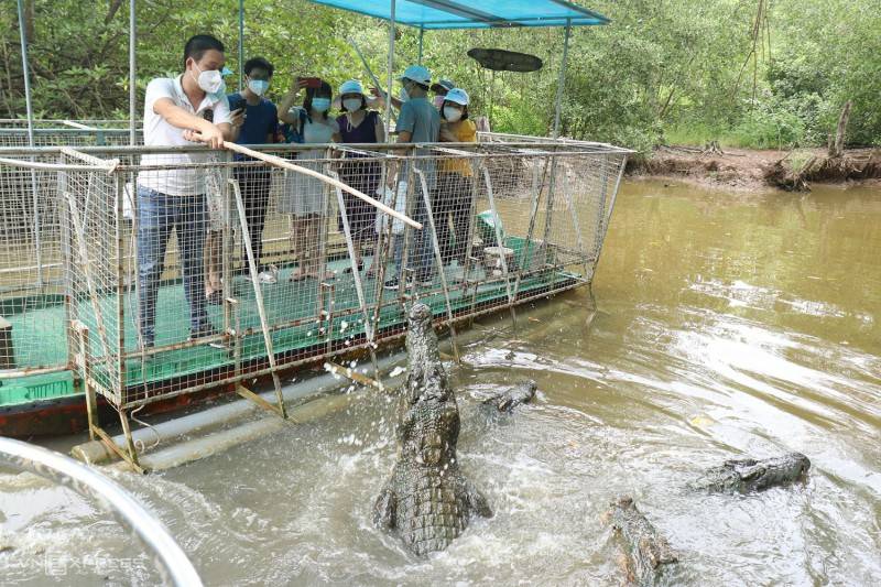 Trại Cá Sấu Long Xuyên, khám phá vương quốc của loài động vật kỳ thú