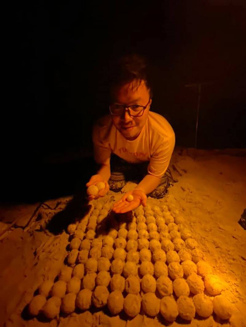 Trải nghiệm đỡ đẻ rùa biển Côn Đảo đầy thú vị của 9X Hà Thành