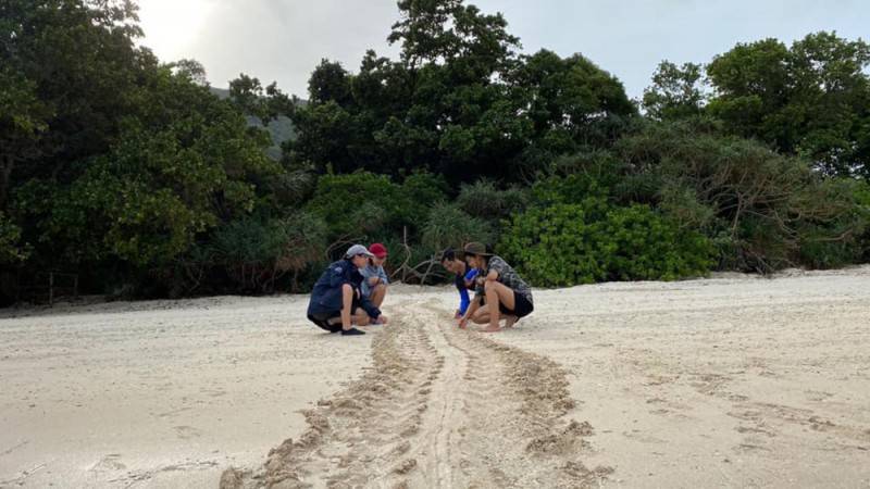 Trải nghiệm đỡ đẻ rùa biển Côn Đảo đầy thú vị của 9X Hà Thành