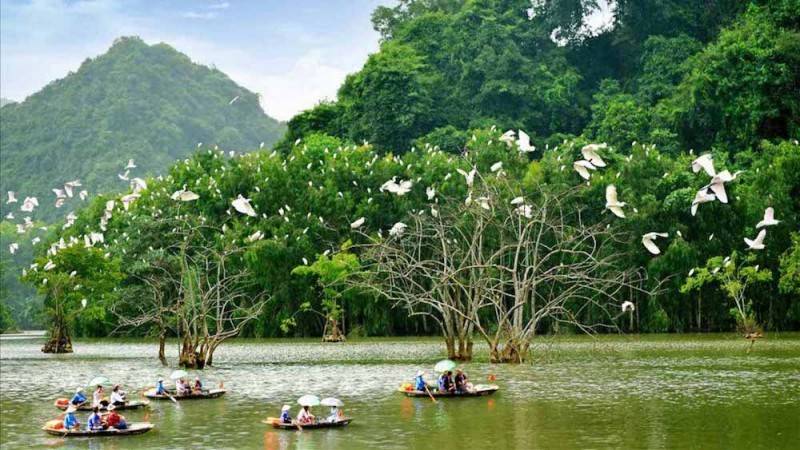 Trẩy hội du xuân Ninh Bình tại các điểm tham quan nổi tiếng