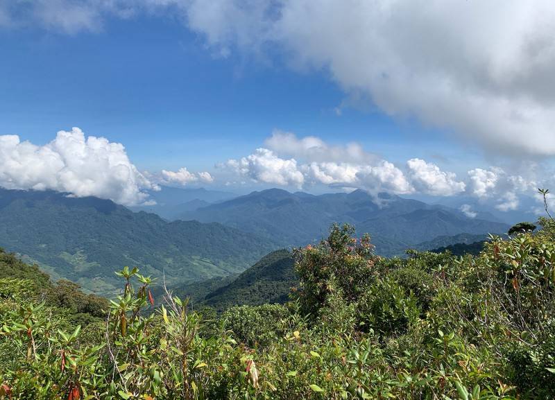 Trekking núi Ngọc Linh, hành trình chinh phục nóc nhà Tây Nguyên