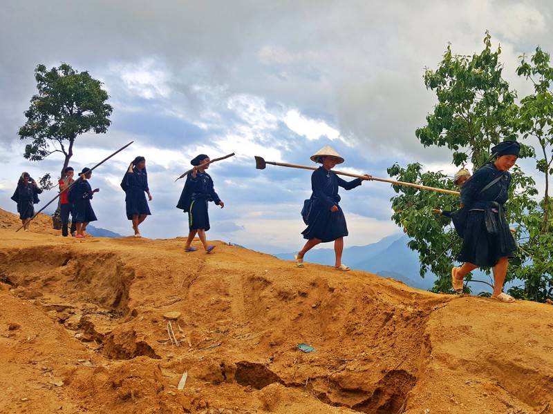 Trekking Tây Côn Lĩnh - Hành trình tận hưởng cảm giác làm chủ đất trời