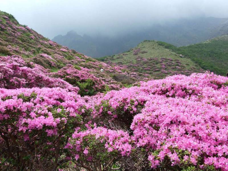 Trekking Tây Côn Lĩnh - Hành trình tận hưởng cảm giác làm chủ đất trời