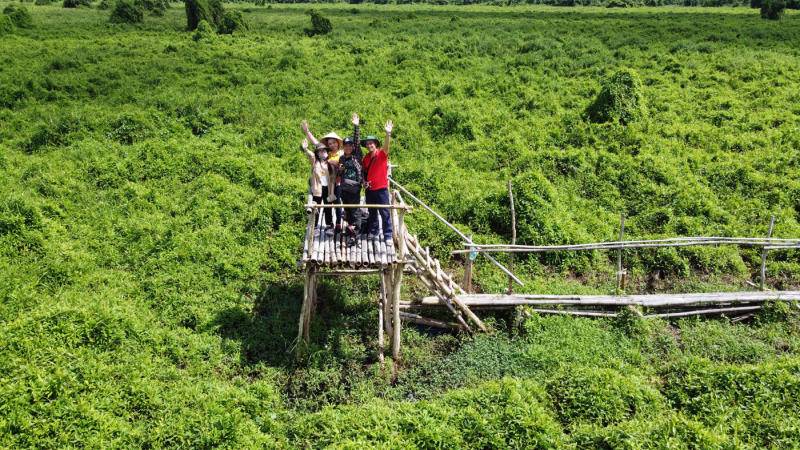 Trọn bộ Kinh nghiệm khám phá rừng quốc gia U Minh Thượng