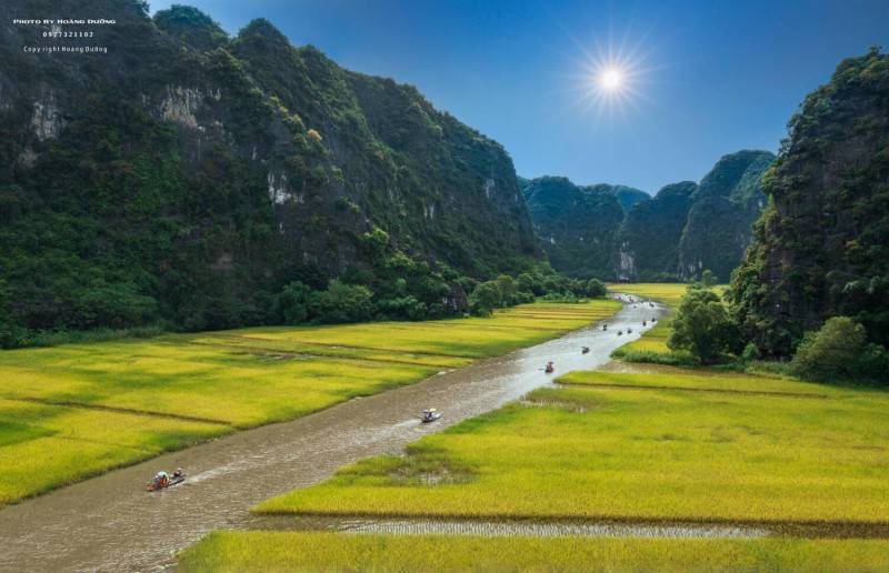 Tự hào 'Sắc vàng Tam Cốc', lá cờ hội bằng lúa lớn nhất Việt Nam