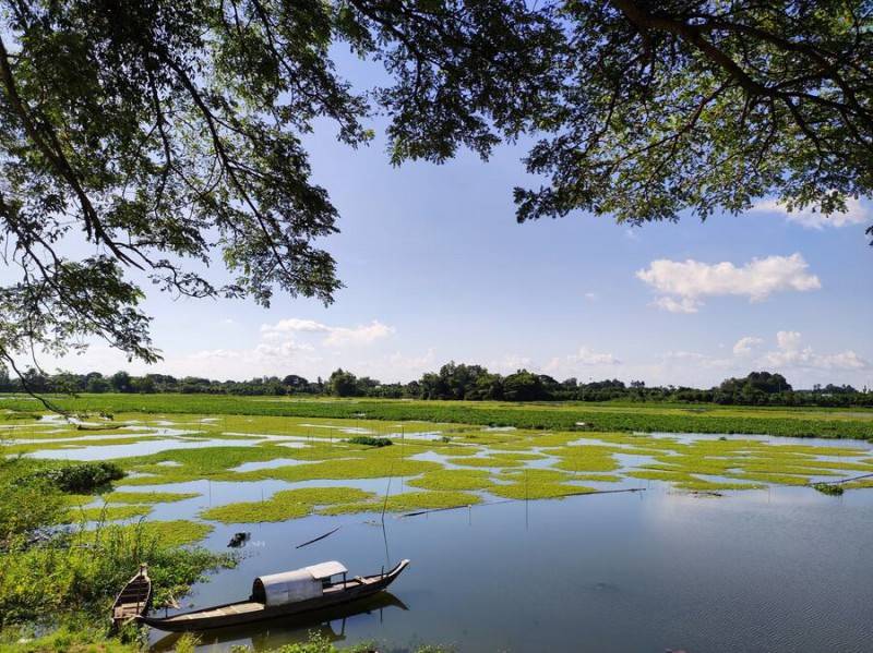 Về Búng Bình Thiên chiêm ngưỡng hồ nước trời lớn nhất Nam Bộ
