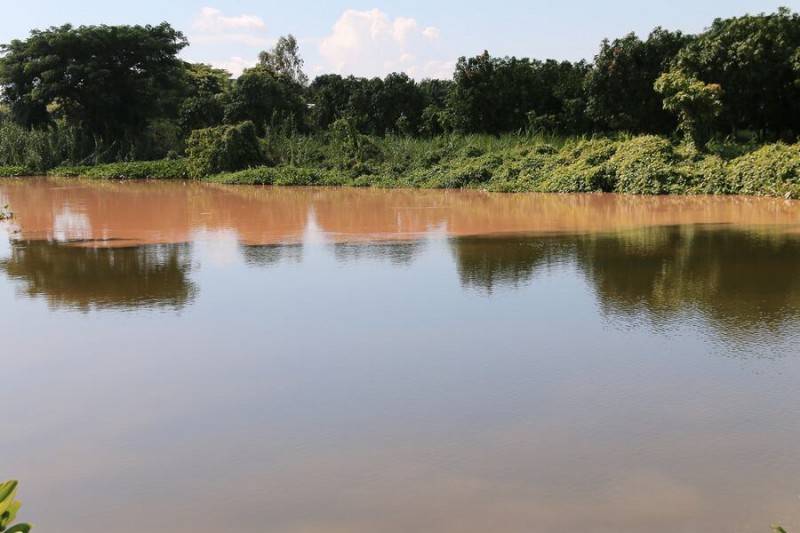 Về Búng Bình Thiên chiêm ngưỡng hồ nước trời lớn nhất Nam Bộ