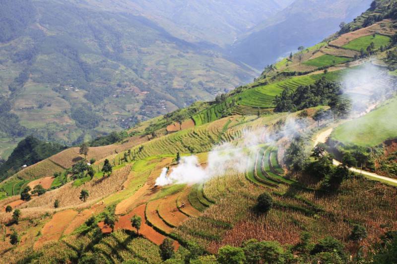 Về Hà Giang, thưởng thức đặc sản gạo Già Dui Xín Mần luôn cháy hàng