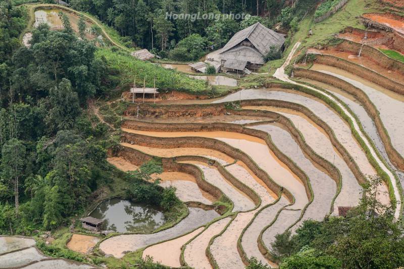 Về Nậm Ty mùa lúa chín tại Hoàng Su Phì