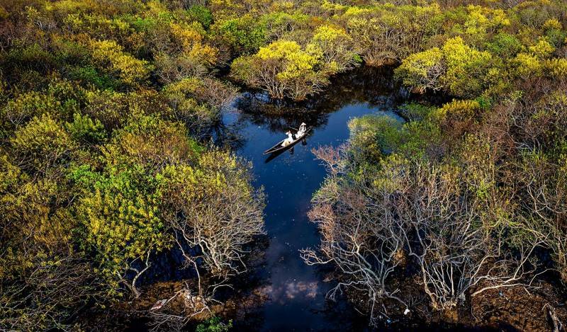 Về rừng ngập mặn Rú Chá rảo bước giữa lá phổi xanh trong lòng đất Huế