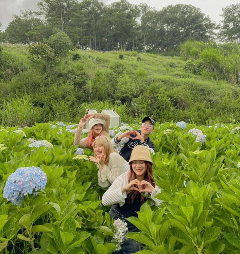Vi vu Đà Lạt khám phá vùng đất ngàn hoa cùng hội bạn thân