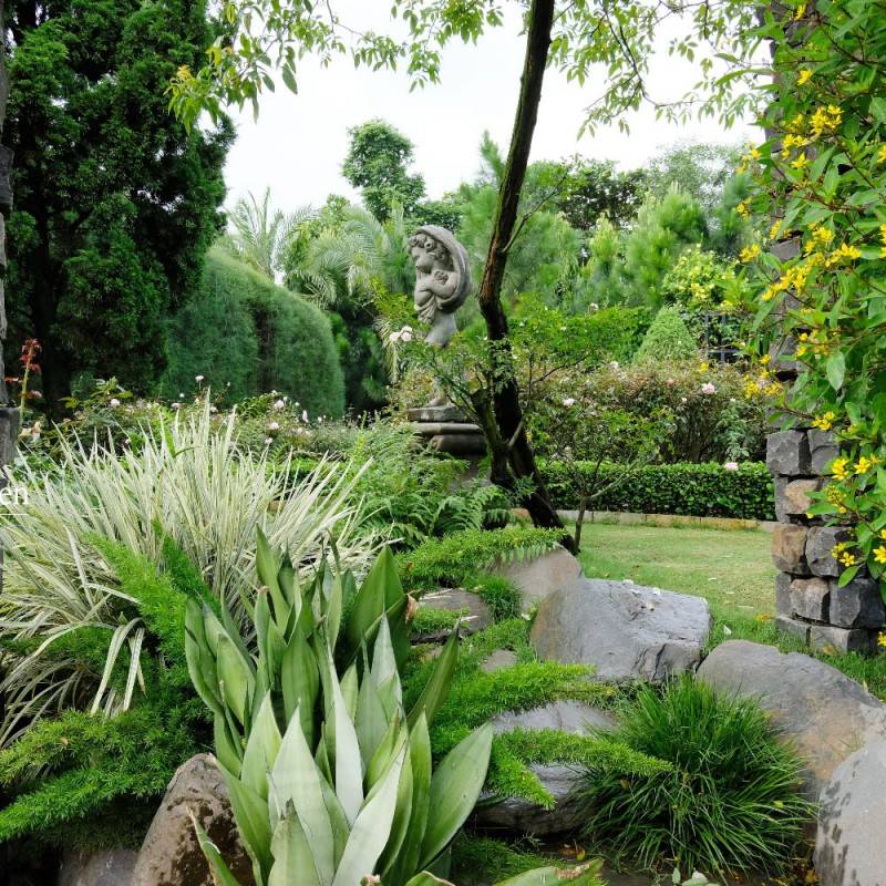 Vũ Garden, khu vườn cổ tích giữa lòng phố thị