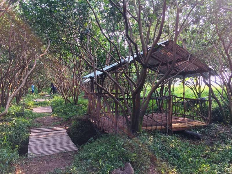 Vườn cam 8 Công xã Vĩnh Trạch (Quán Vườn Cam), trải nghiệm miệt vườn thú vị