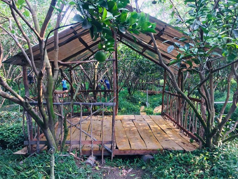 Vườn cam 8 Công xã Vĩnh Trạch (Quán Vườn Cam), trải nghiệm miệt vườn thú vị