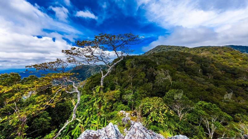 Vườn quốc gia Kon Ka Kinh, trải nghiệm nét hoang sơ nơi cao nguyên hùng vĩ