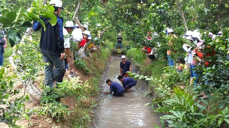 Vườn trái cây Cái Mơn, tọa độ giải nhiệt ngày nắng nóng