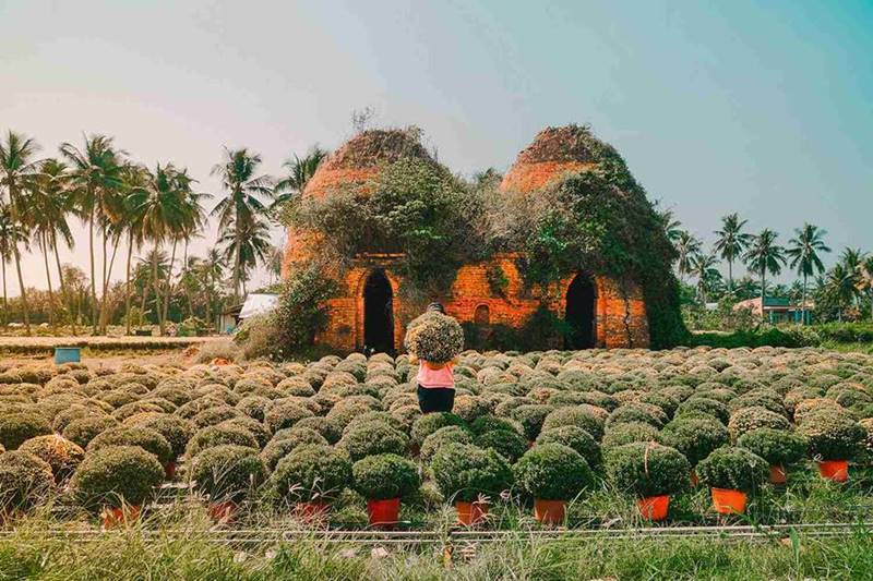 Vườn trái cây Cái Mơn, tọa độ giải nhiệt ngày nắng nóng